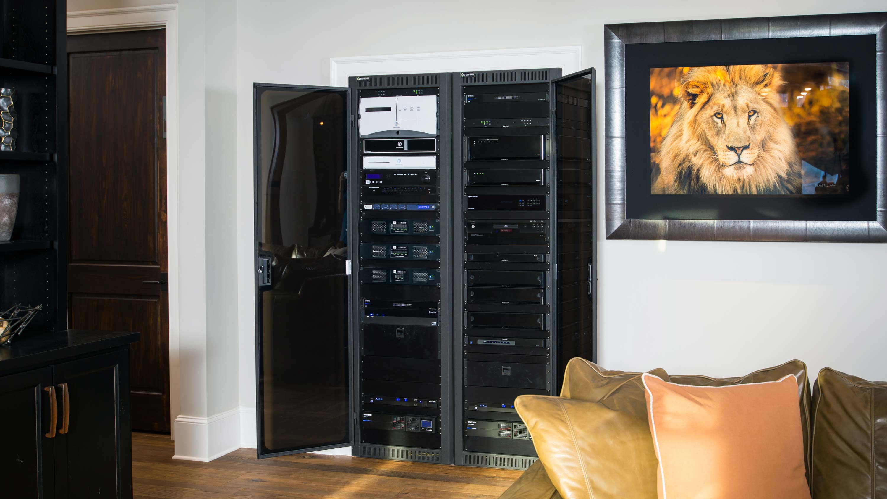 image of technology in a closet next to lion painting